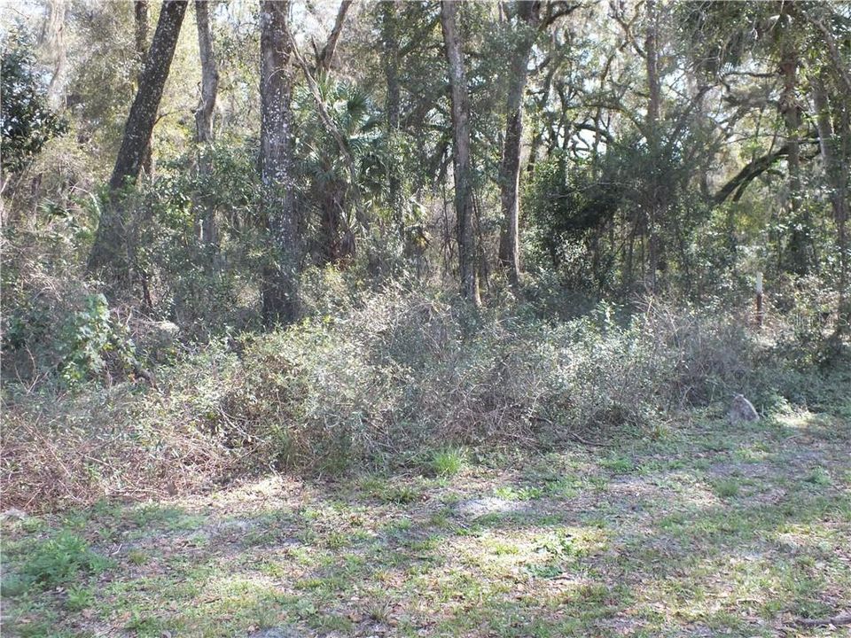 Recently Sold: $12,200 (0.43 acres)