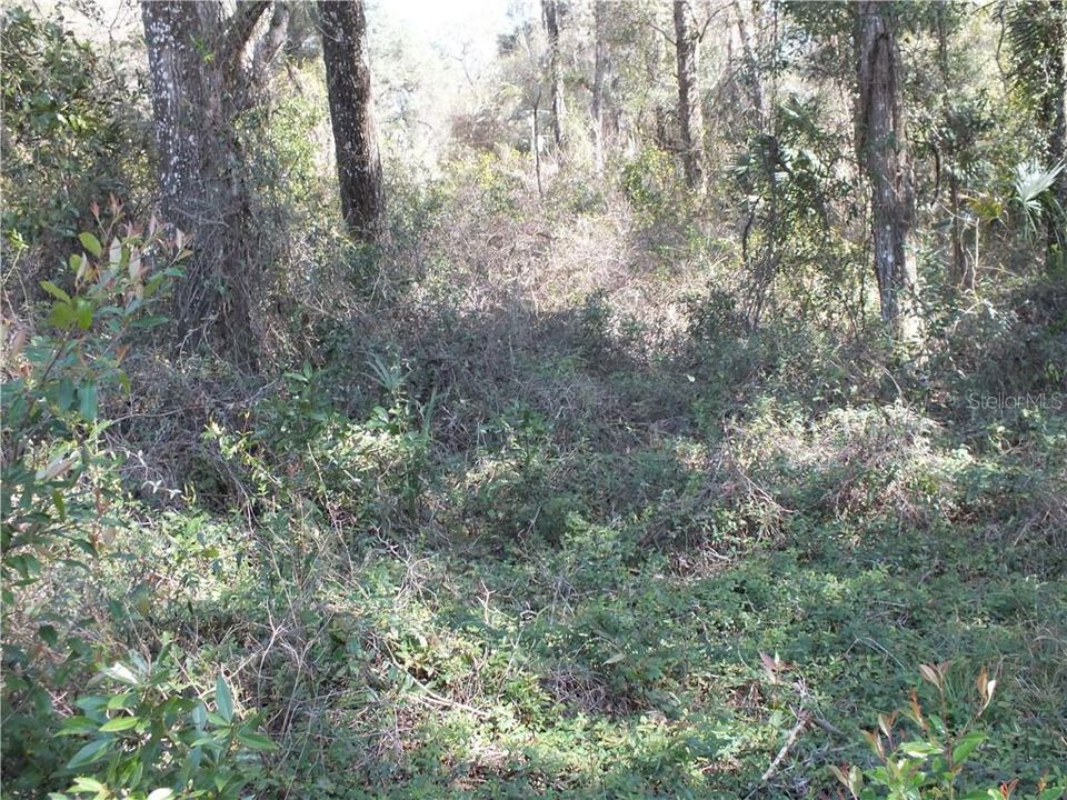 Recently Sold: $12,200 (0.43 acres)