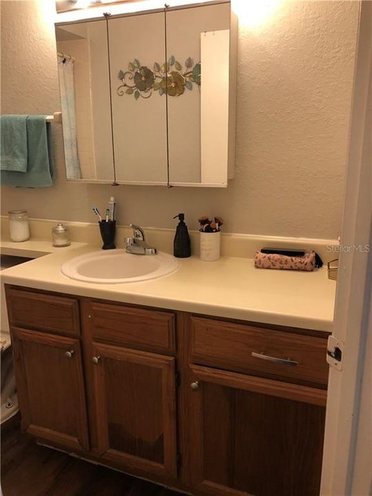 Bathroom with medicine cabinet and large counter top.