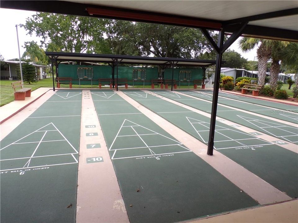 SHUFFLE BOARD COURT