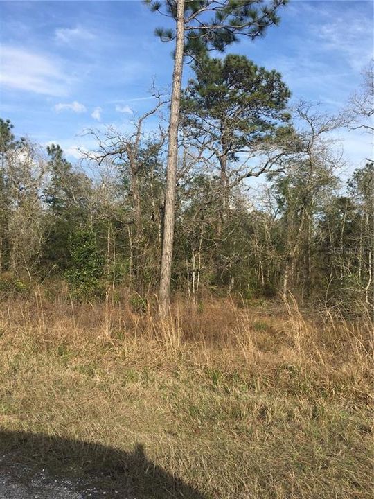 Recently Sold: $14,900 (0.50 acres)
