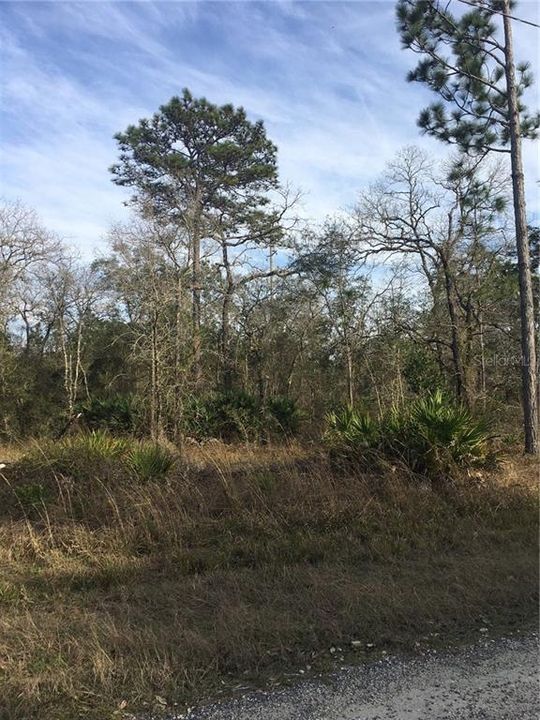 Recently Sold: $14,900 (0.50 acres)