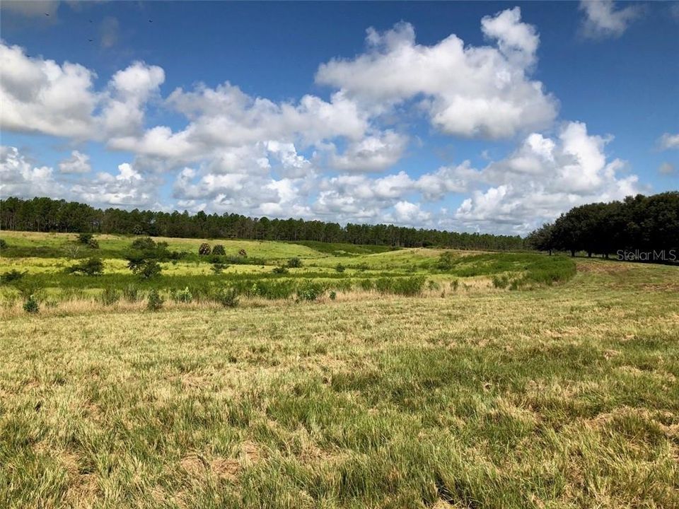 Vendido Recientemente: $102,400 (5.05 acres)