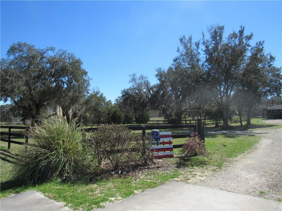 The view as you drive in your new driveway!