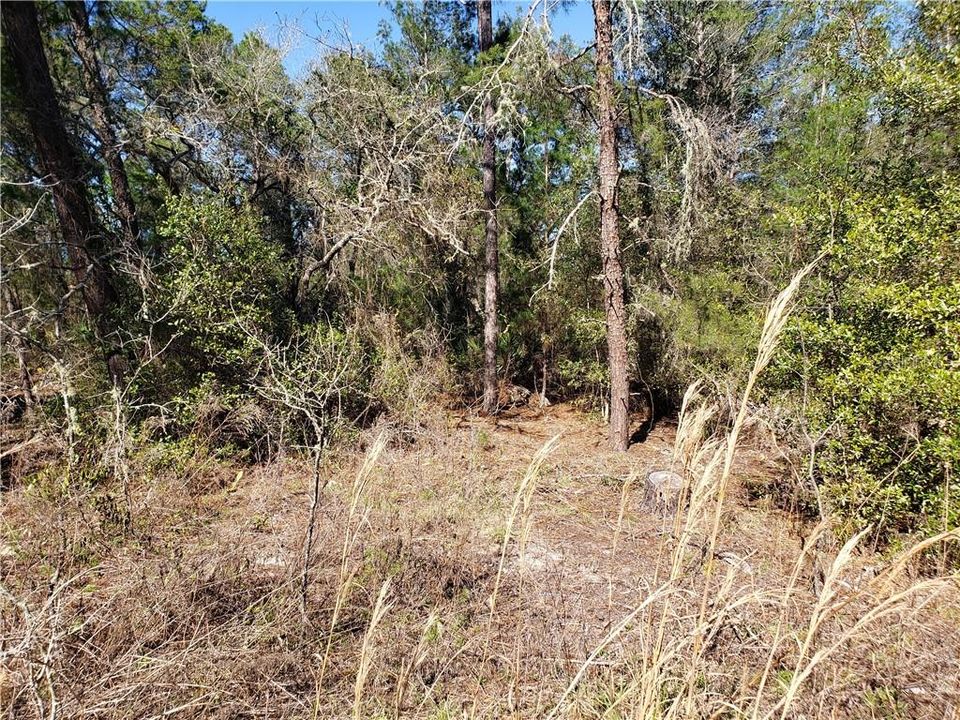 Recently Sold: $10,995 (0.37 acres)