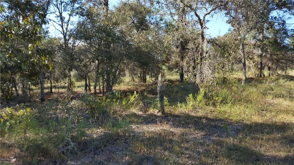 Recently Sold: $9,200 (0.97 acres)