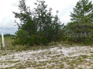 Recently Sold: $22,000 (1.00 acres)