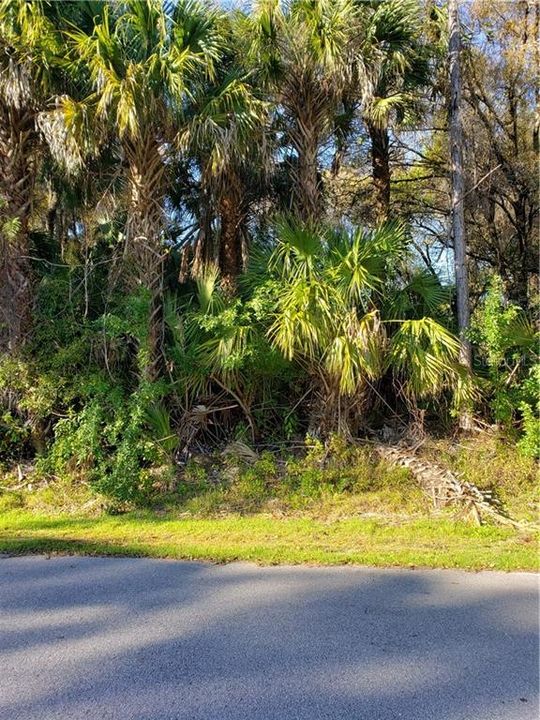 Recently Sold: $12,500 (0.23 acres)