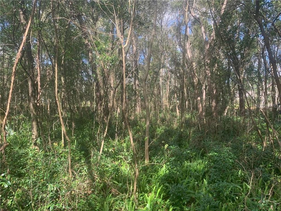 Vendido Recientemente: $16,000 (0.36 acres)