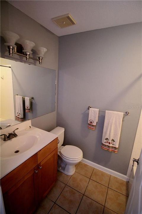 Master Bathroom Vanity and Toilet
