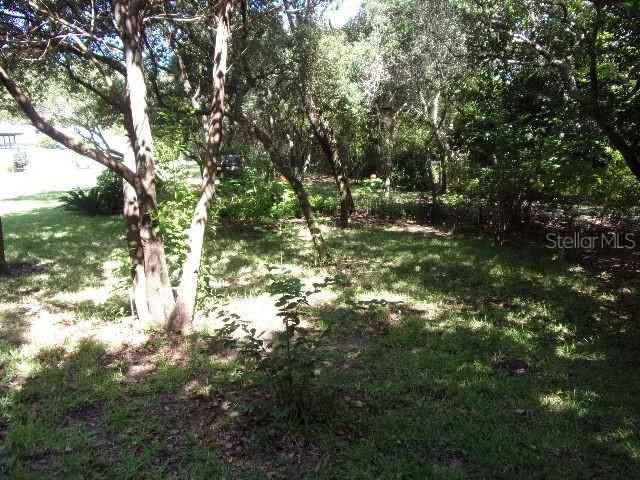 One of the many beautiful garden areas for relaxing, reading a book or just to enjoy nature!