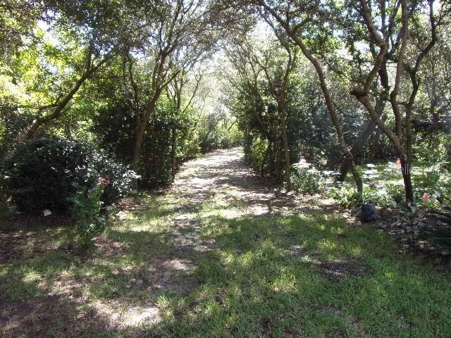 Very private driveway entrance onto property