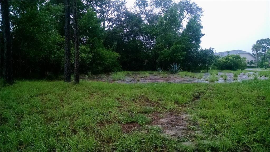 View of vacant Lot located at 18659 White  Pines Circle from the East section of the  property.