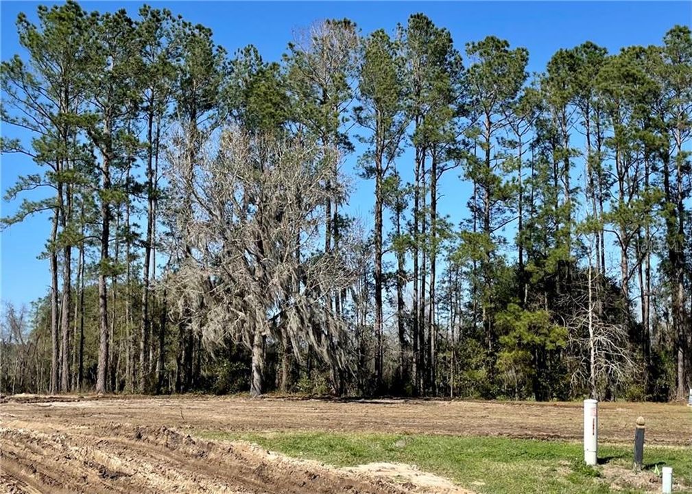 Recently Sold: $276,878 (0.41 acres)