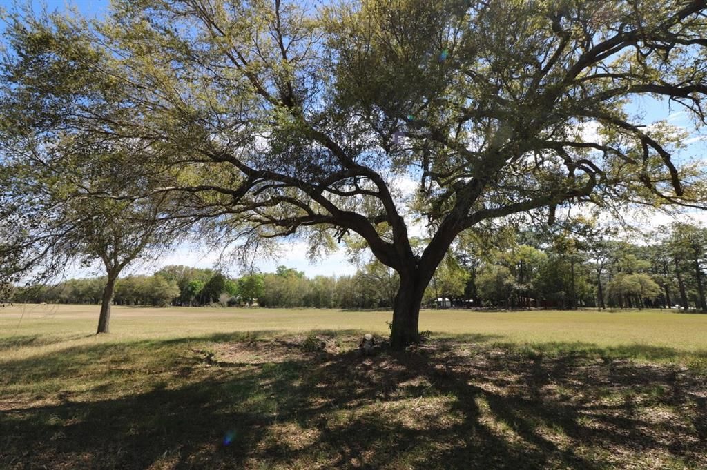 Vendido Recientemente: $1,000,000 (41.50 acres)