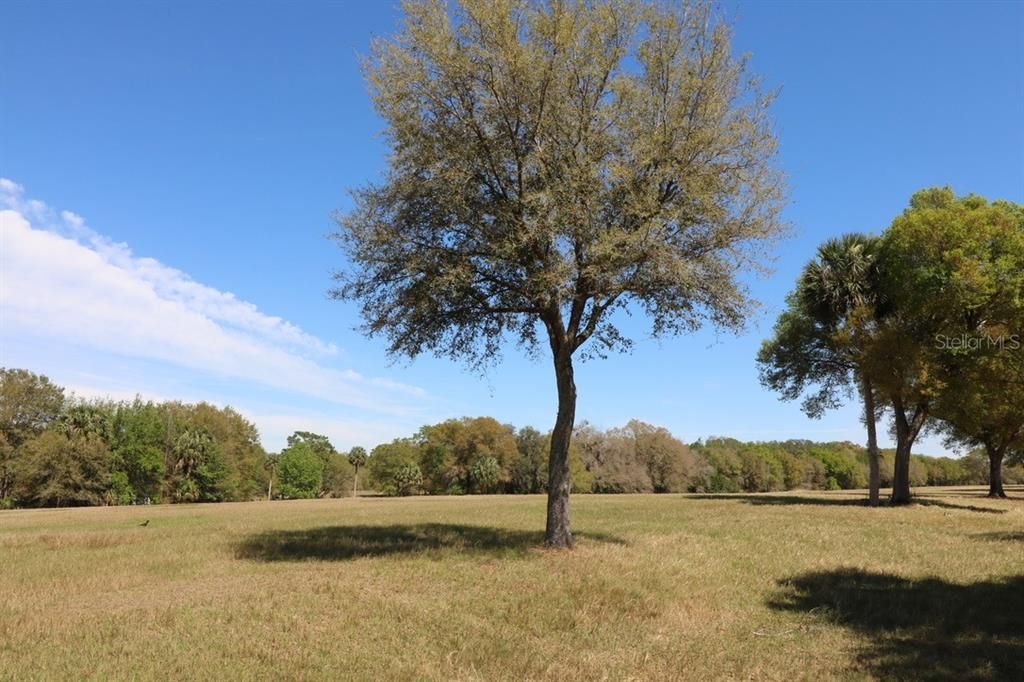 Recently Sold: $1,000,000 (41.50 acres)