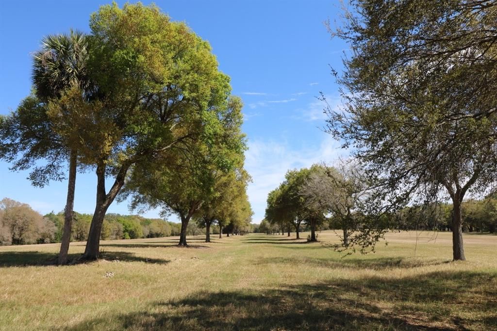 Recently Sold: $1,000,000 (41.50 acres)