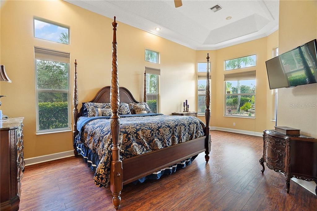 Master Bedroom with Tray Ceiling