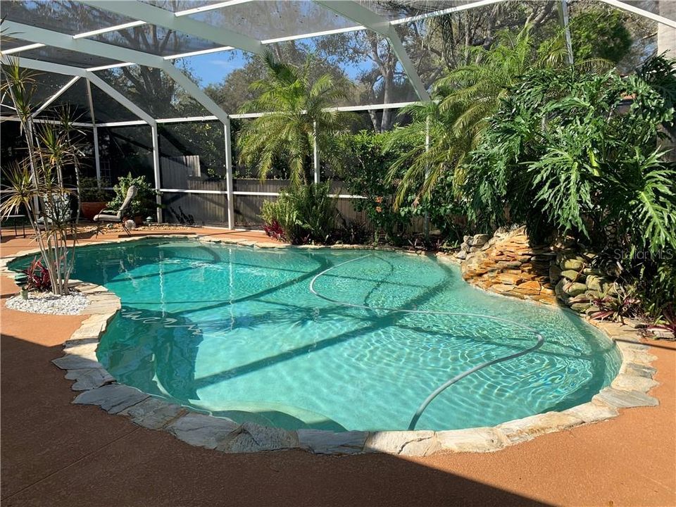 Beautiful screen enclosed pool with waterfall