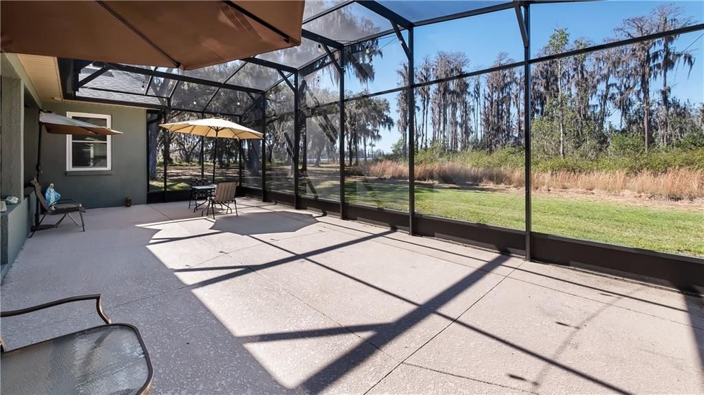 Screened Roof and screened patio in rear yard looking into Pine Island Lake and overlooking conservation area