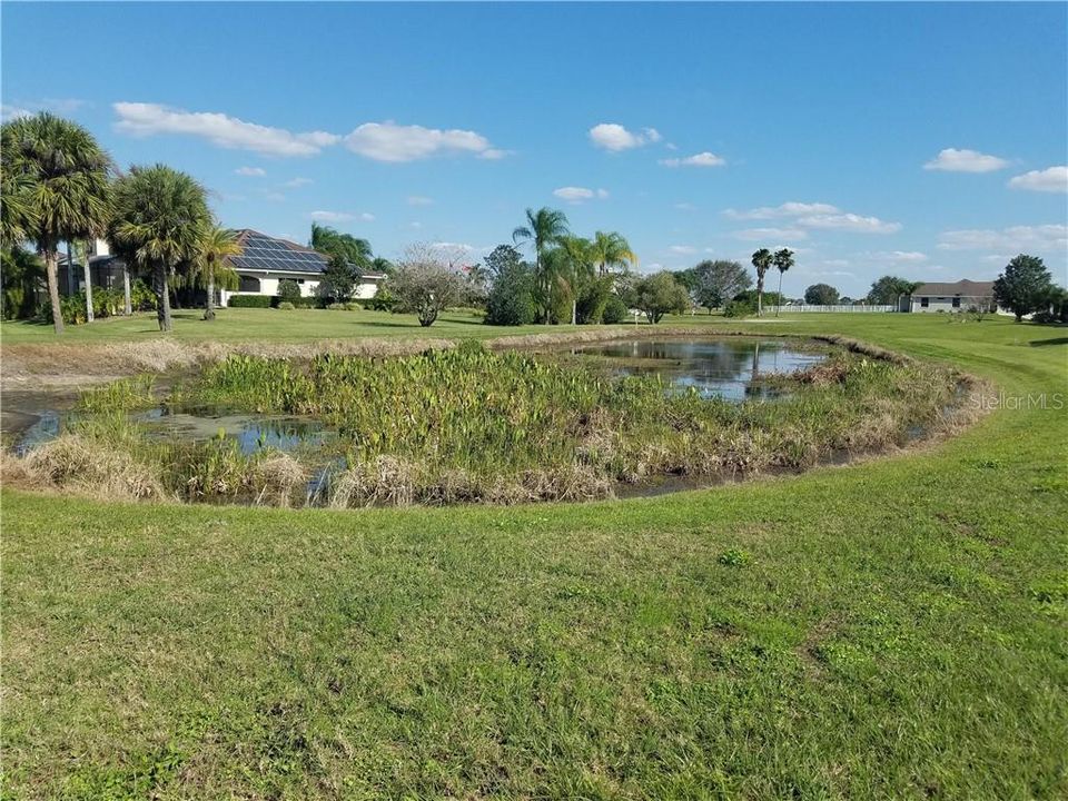 Pond View