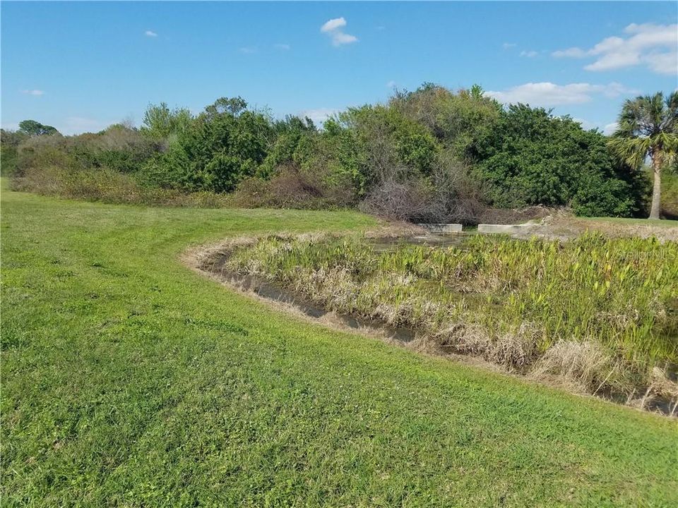 Pond  and Preserve View