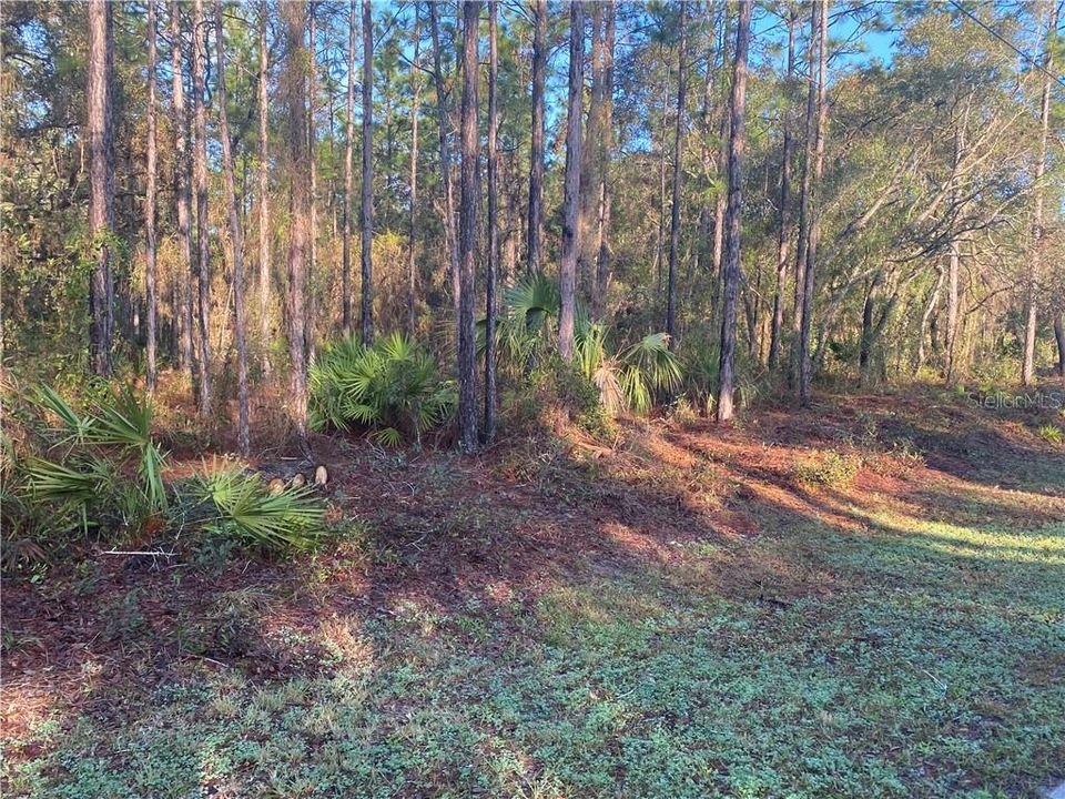 Recently Sold: $19,900 (1.25 acres)