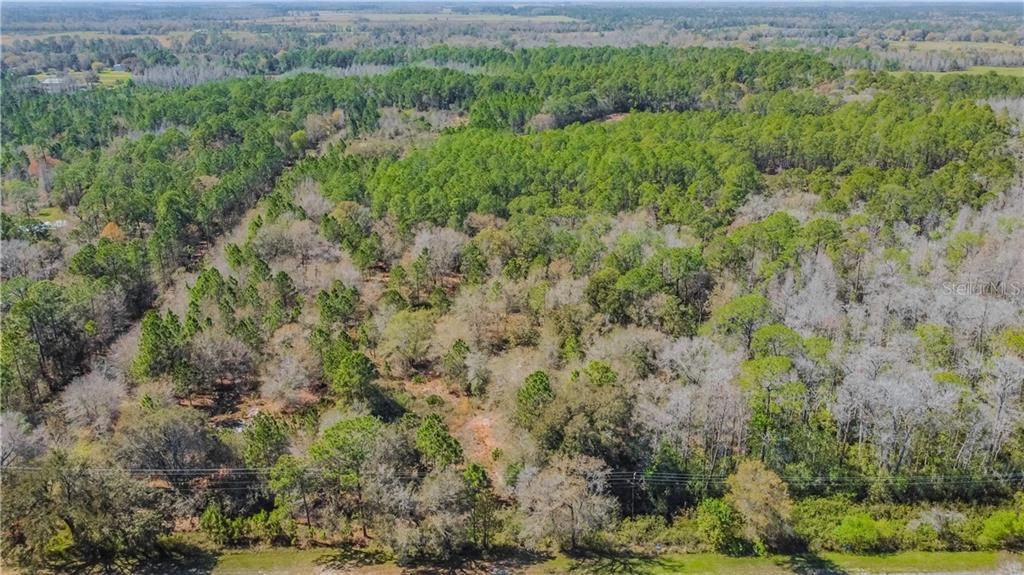 Recently Sold: $275,000 (21.75 acres)