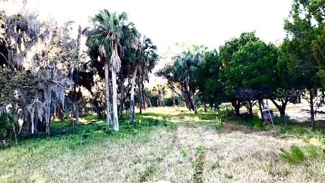 View from waterfront towards Ozello Trail.