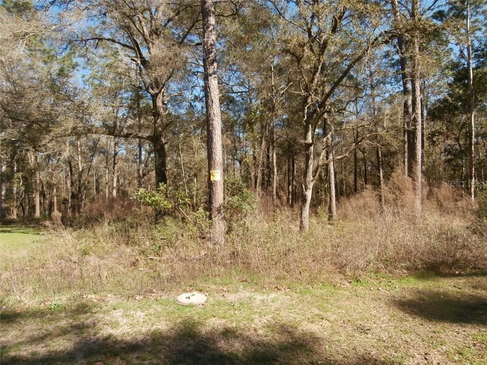 Recently Sold: $28,500 (2.38 acres)