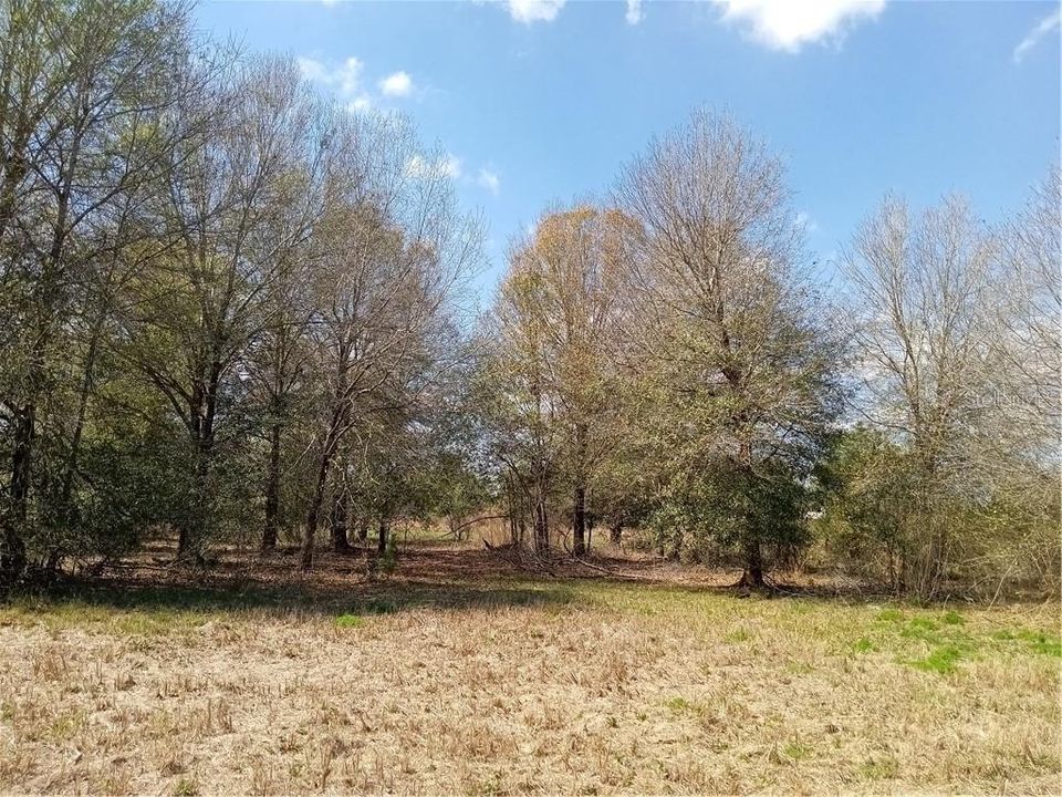 Recently Sold: $69,900 (1.10 acres)