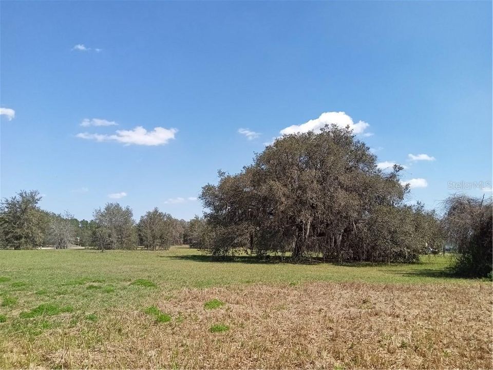 Recently Sold: $69,900 (1.10 acres)