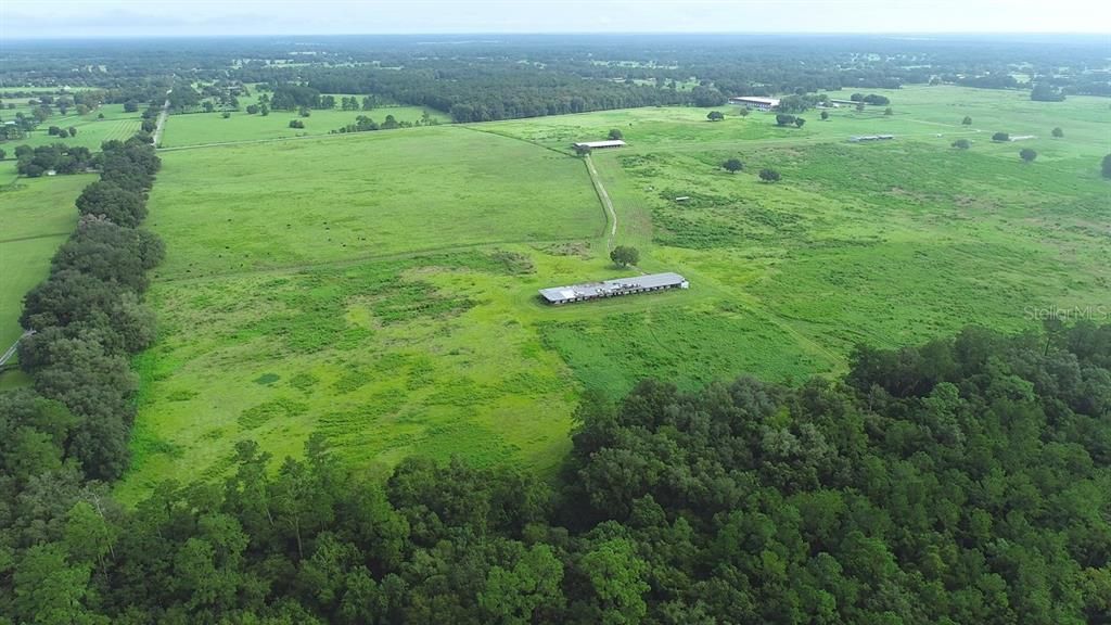 For Sale: $4,000,000 (150.00 acres)