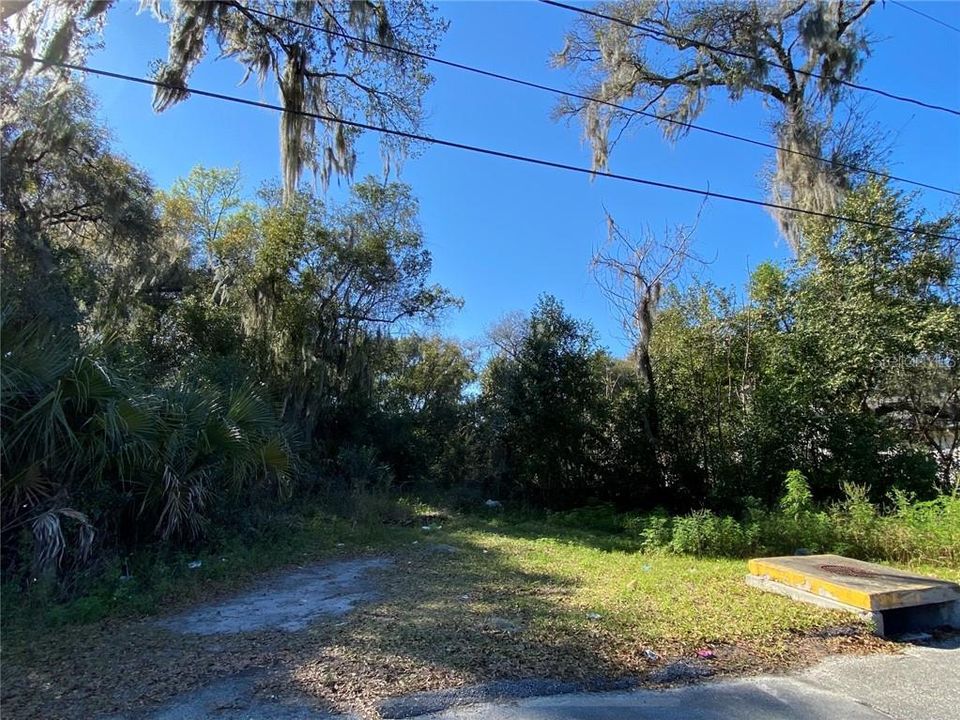 Recently Sold: $18,700 (0.34 acres)