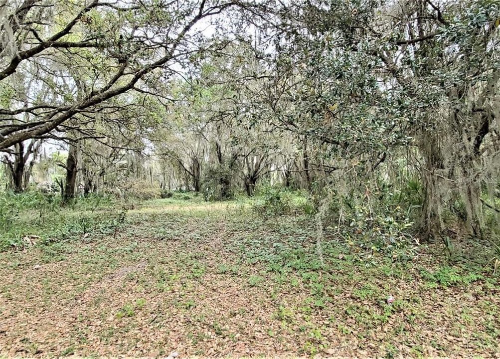 Recently Sold: $89,500 (5.00 acres)