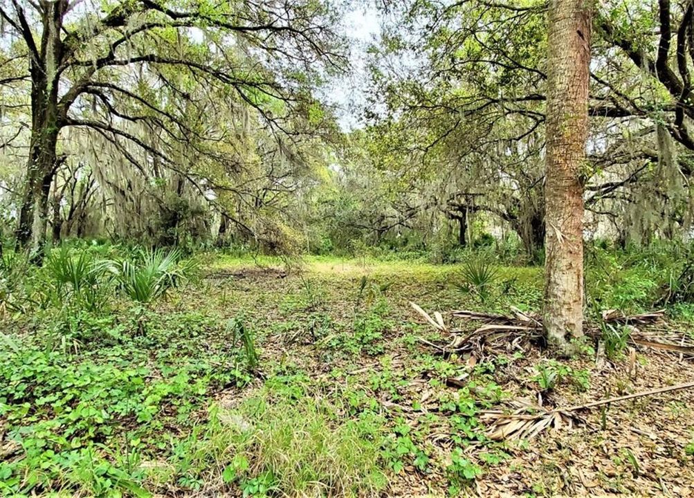 Recently Sold: $89,500 (5.00 acres)