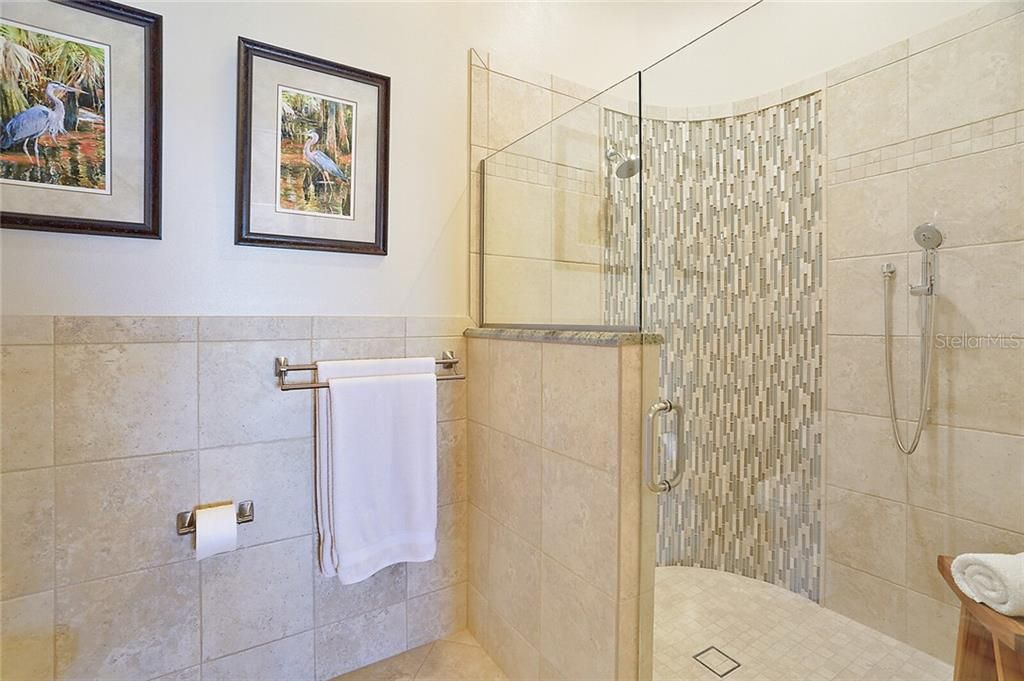 Accessible walk-in shower in ensuite ~