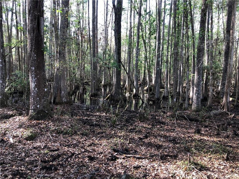 For Sale: $1,250,000 (26.45 acres)