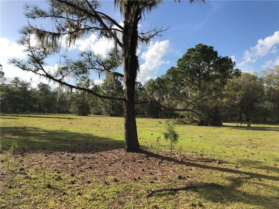 For Sale: $1,250,000 (26.45 acres)