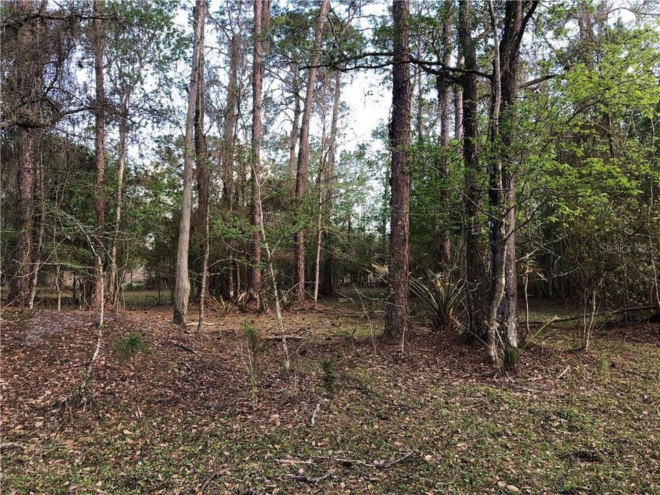 For Sale: $1,250,000 (26.45 acres)