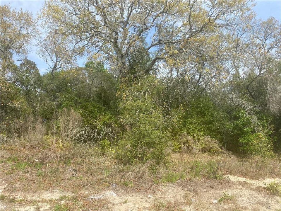 Recently Sold: $25,000 (0.29 acres)