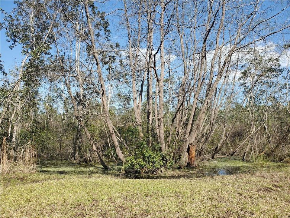 Water at Back of Property