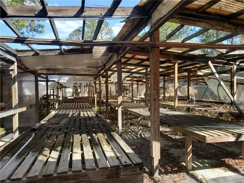 Inside Outbuilding/Greenhouse