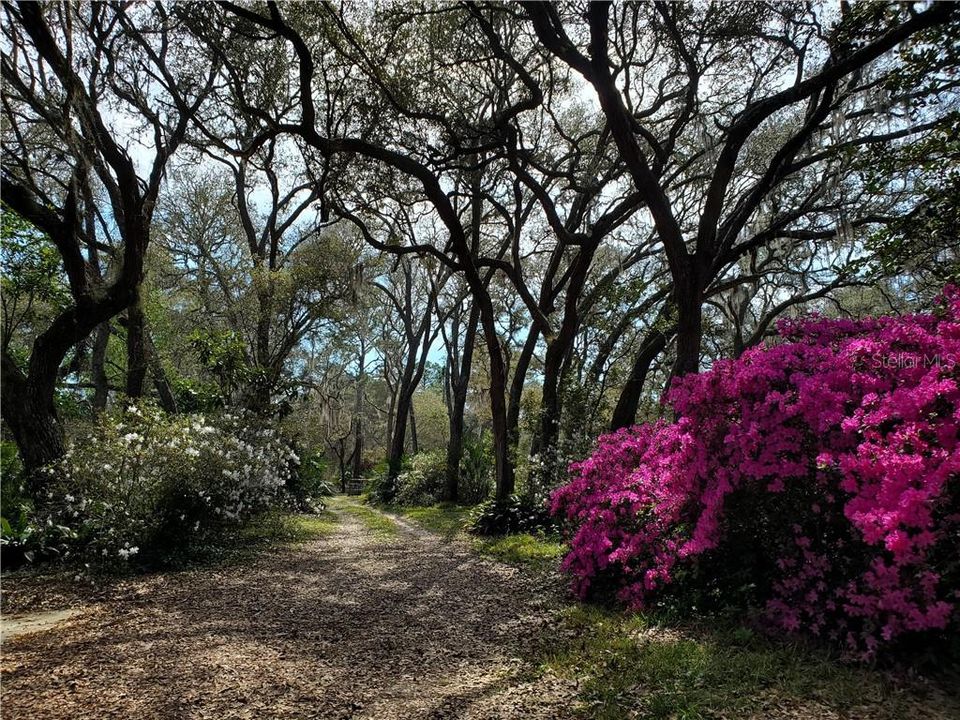 View Toward Gate