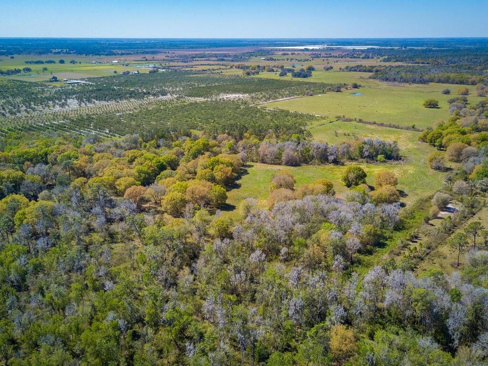 Недавно продано: $1,477,777 (142.96 acres)