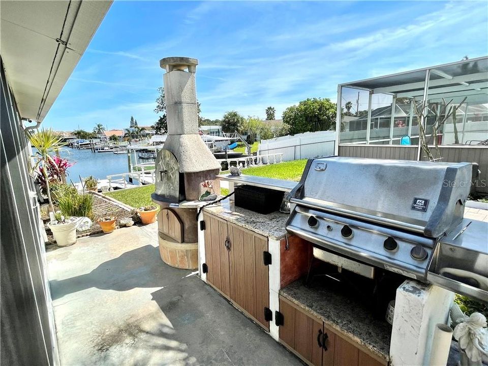 Custom BBQ with Pizza oven.