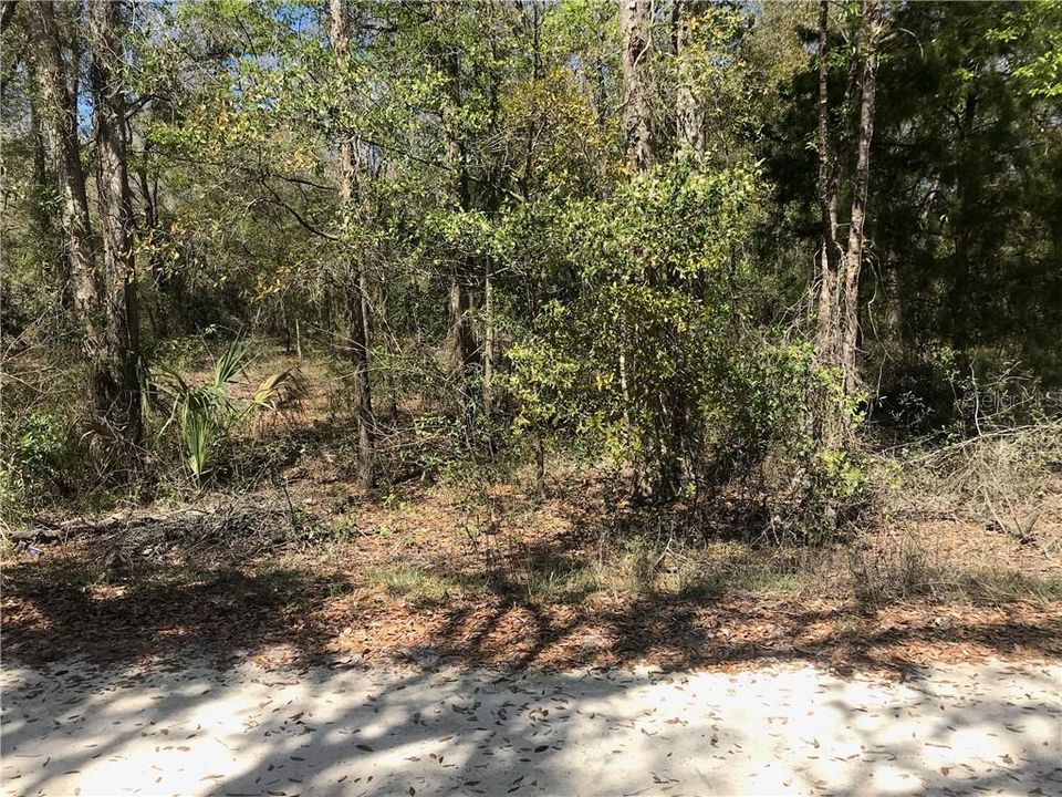 Recently Sold: $35,000 (2.51 acres)