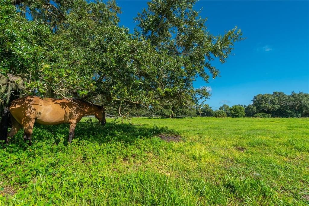 Недавно продано: $349,000 (10.09 acres)