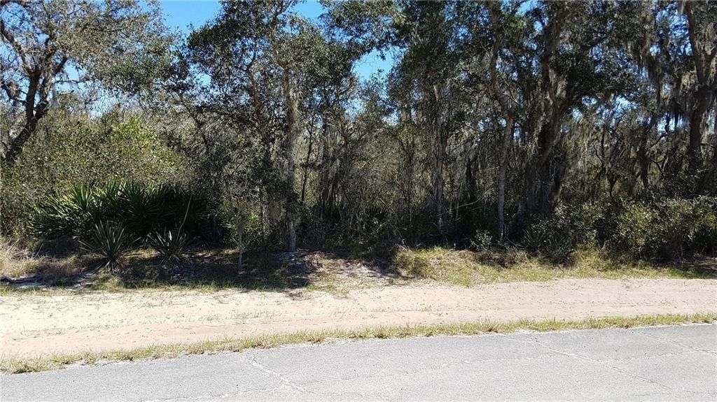 Recently Sold: $18,500 (0.23 acres)