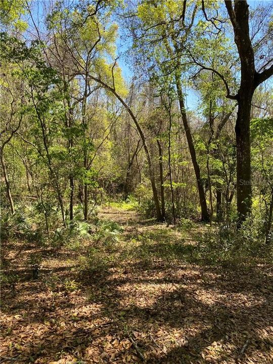 Recently Sold: $155,000 (10.00 acres)